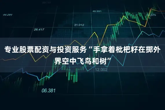 专业股票配资与投资服务“手拿着枇杷籽在掷外界空中飞鸟和树”