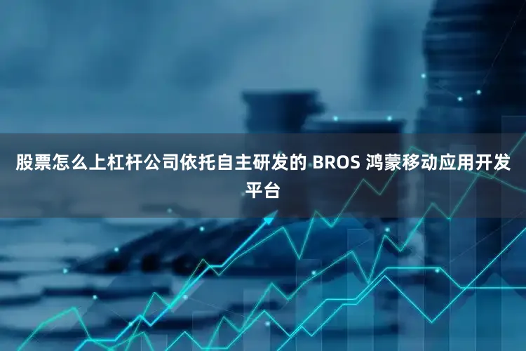 股票怎么上杠杆公司依托自主研发的 BROS 鸿蒙移动应用开发平台