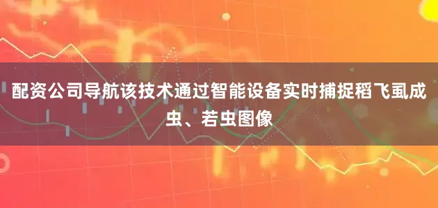 配资公司导航该技术通过智能设备实时捕捉稻飞虱成虫、若虫图像