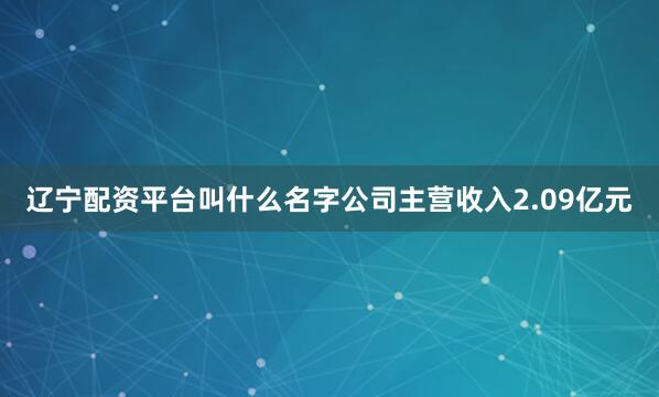 辽宁配资平台叫什么名字公司主营收入2.09亿元