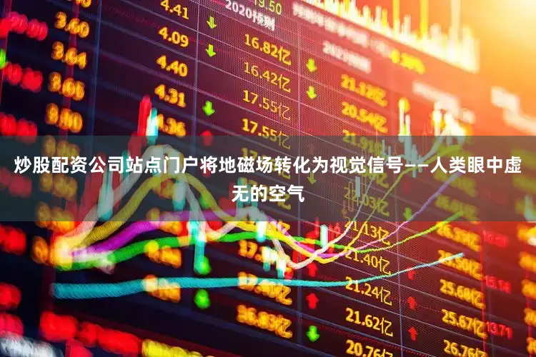 炒股配资公司站点门户将地磁场转化为视觉信号——人类眼中虚无的空气