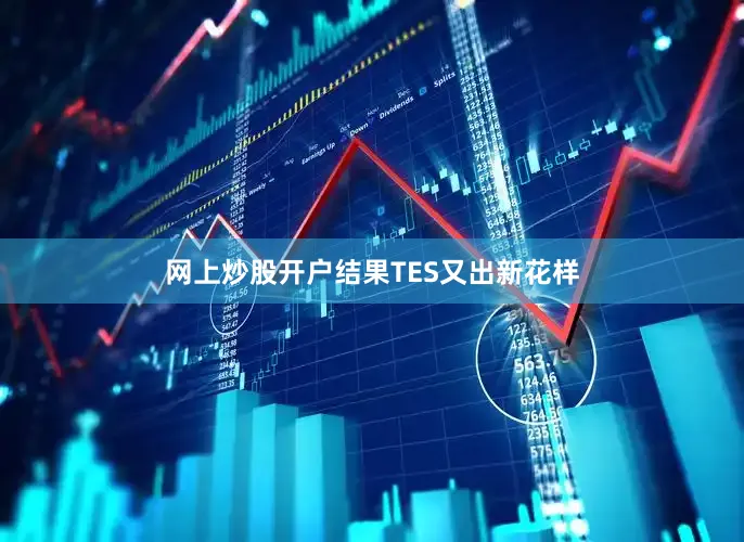 网上炒股开户结果TES又出新花样