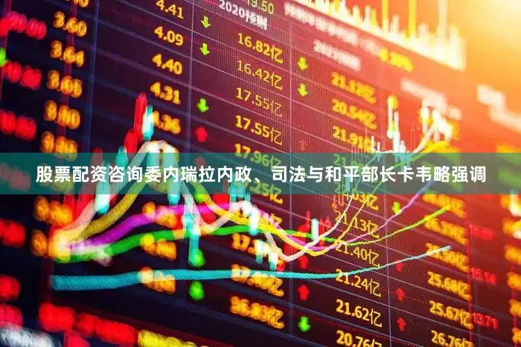 股票配资咨询委内瑞拉内政、司法与和平部长卡韦略强调